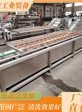 商用果蔬清洗加工流水线 不锈钢气泡清洗选设备 水产加工清洗机
