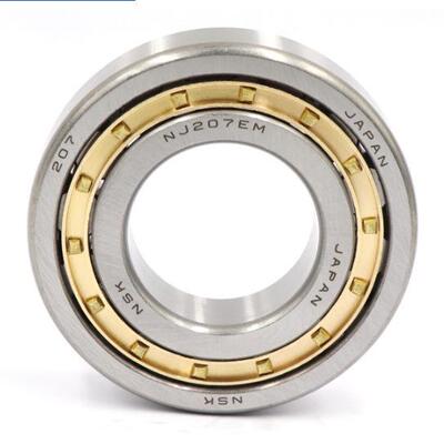 进口NSK NF3 18/19/20/21/22/24/26 EW EM C3 圆柱滚子轴承