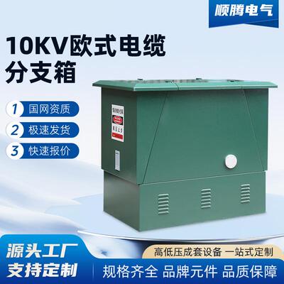 10KV欧式电缆分支2035KV一进三五户高压不锈钢箱式铜排对接