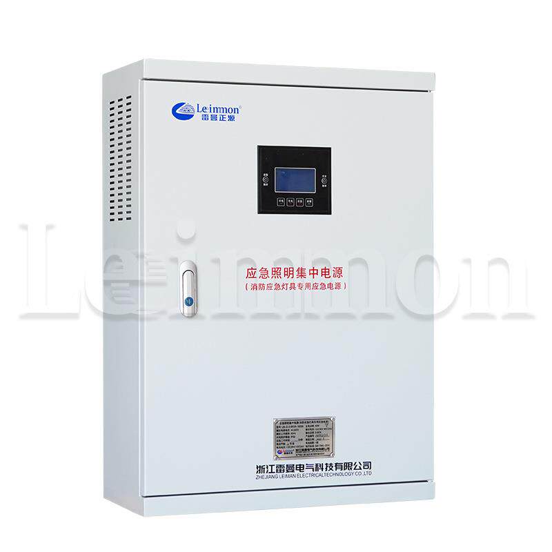 应急照明集中电源配电箱LM-D-0.3KVA DC24V 30分钟智能疏散指示