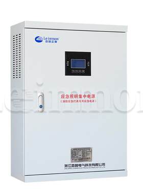 家应急照明集中电源配电箱LM-.-06KVADC36V30分钟D智厂能疏散指88