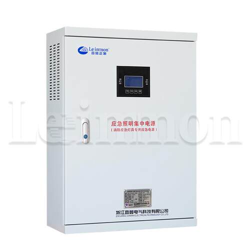 应急照明集中电源配电箱LM-D-0.6KVA DC24V 120min智能疏散指示
