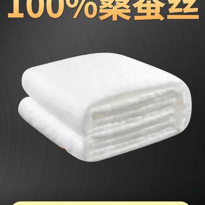 桐乡手工蚕丝被100桑蚕丝被加厚冬被夏凉被结婚春秋被芯子母被子