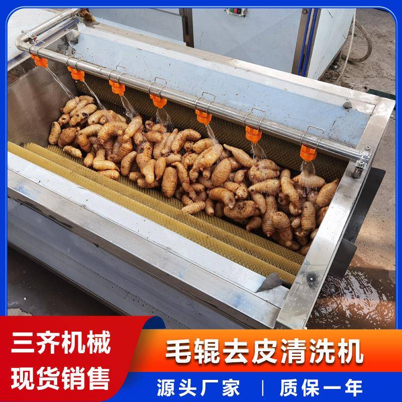 中药材去泥加工机械304不锈钢羊头牛蹄清洗机海蛎子喷淋清洗机