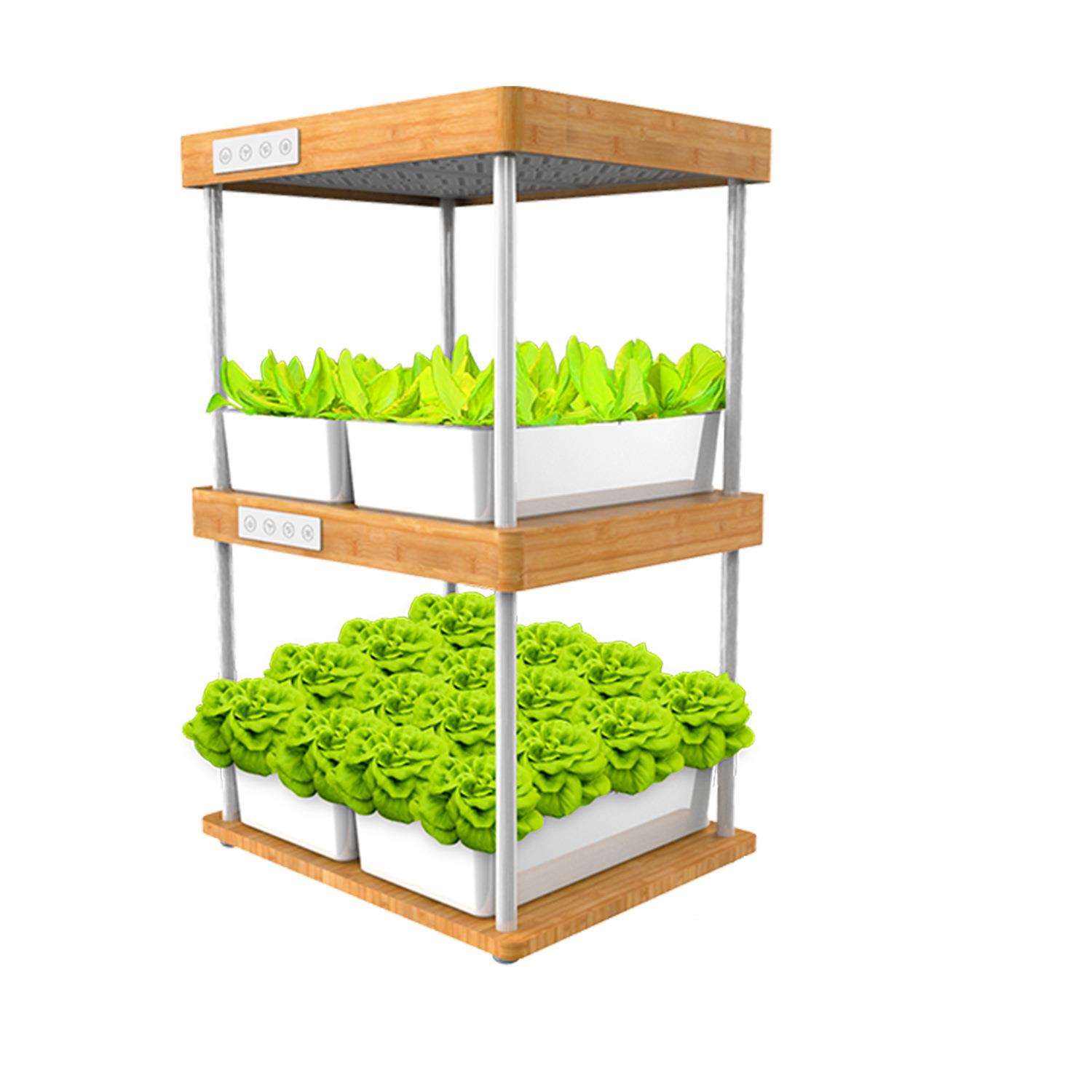 IGS-09纯天然竹质植物生长机32PODS种菜机室内盆景植物生长机双层