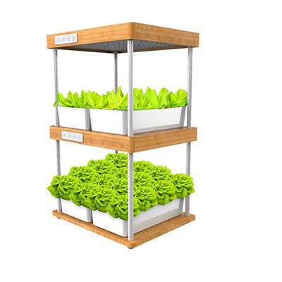 IGS-09纯天然竹质植物生长机32PODS种菜机室内盆景植物生长机双层