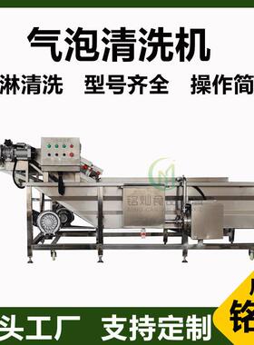 果蔬气泡清洗机  大型蔬菜清洗设备  袋装产品去油清洗机