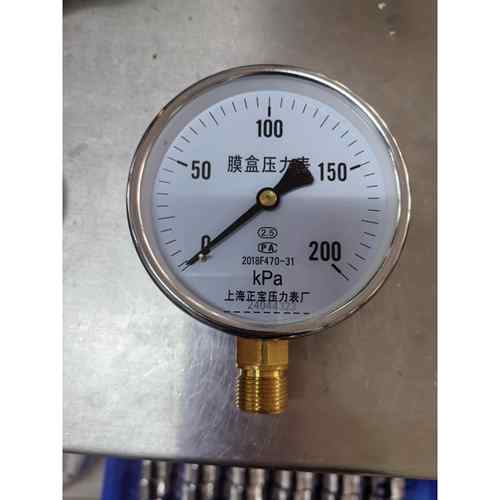 Ye-100 160Kpa250Kpa300Kpa膜箱气压微帕千帕压力表上海正宝