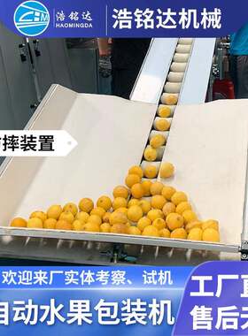 全自动橙子柠檬包装机小金桔脐橙自动套袋打包机柑橘水果包装机