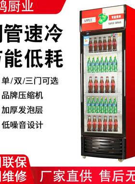冷藏展示柜单门饮料柜商用双开门保鲜柜立式三门啤酒冰柜冰箱超市