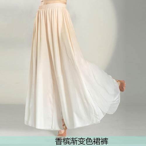 正品古典舞演套仙出服女飘逸气古风中国舞民族舞服蹈身韵纱衣练功