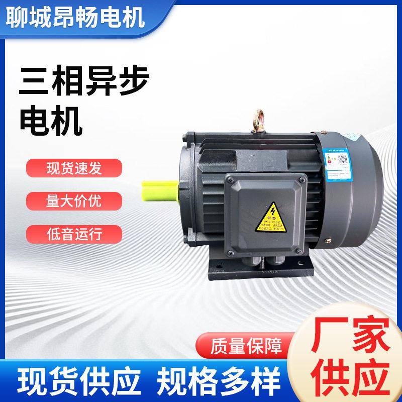 三相异步电动机水泵电机定制风机电机220v效率厂家永磁电机
