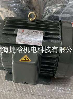 JIACHENG电机 3-PHASE TROCHCID PUMP 内轴孔油压 佳晟马达