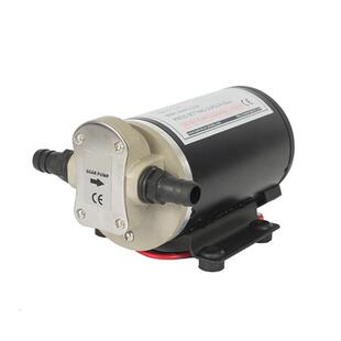 12V 24V抽油泵电动高效直流自吸齿轮油泵柴油泵机油泵抽油器微型