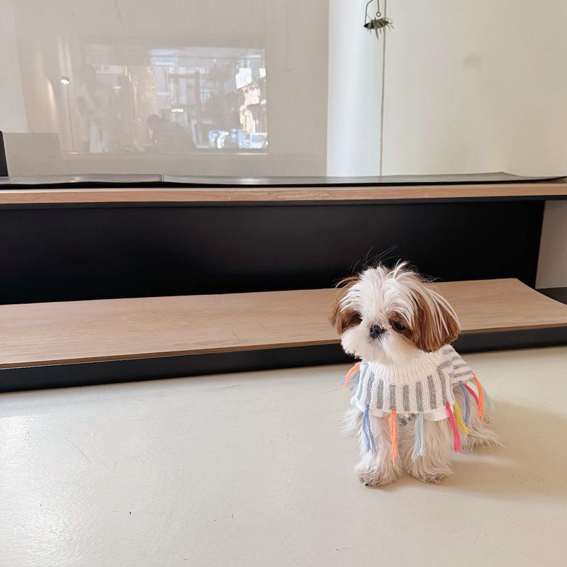 狗狗衣服宠物衣服秋冬法斗雪纳瑞比熊马尔济斯西施小型犬猫毛衣斗