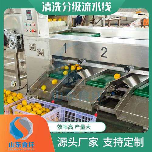 销售新疆大枣分选机根茎类农产品分选设备红薯马铃薯滚杠分级机