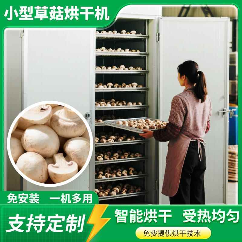 草菇烘干机 小型草菇赤松茸切片烘干箱 蟹味菇白玉菇秀珍菇烘干房
