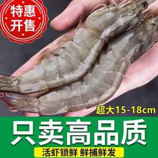 大虾鲜活超大新鲜冷冻特大号海捕海鲜水产整箱基围虾青虾白虾对虾