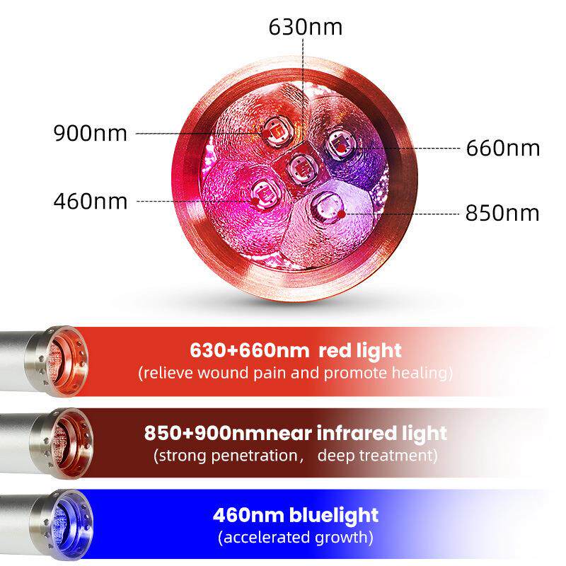 亚马逊爆款红光手电筒手持五光源深红光灯red light红光手电筒