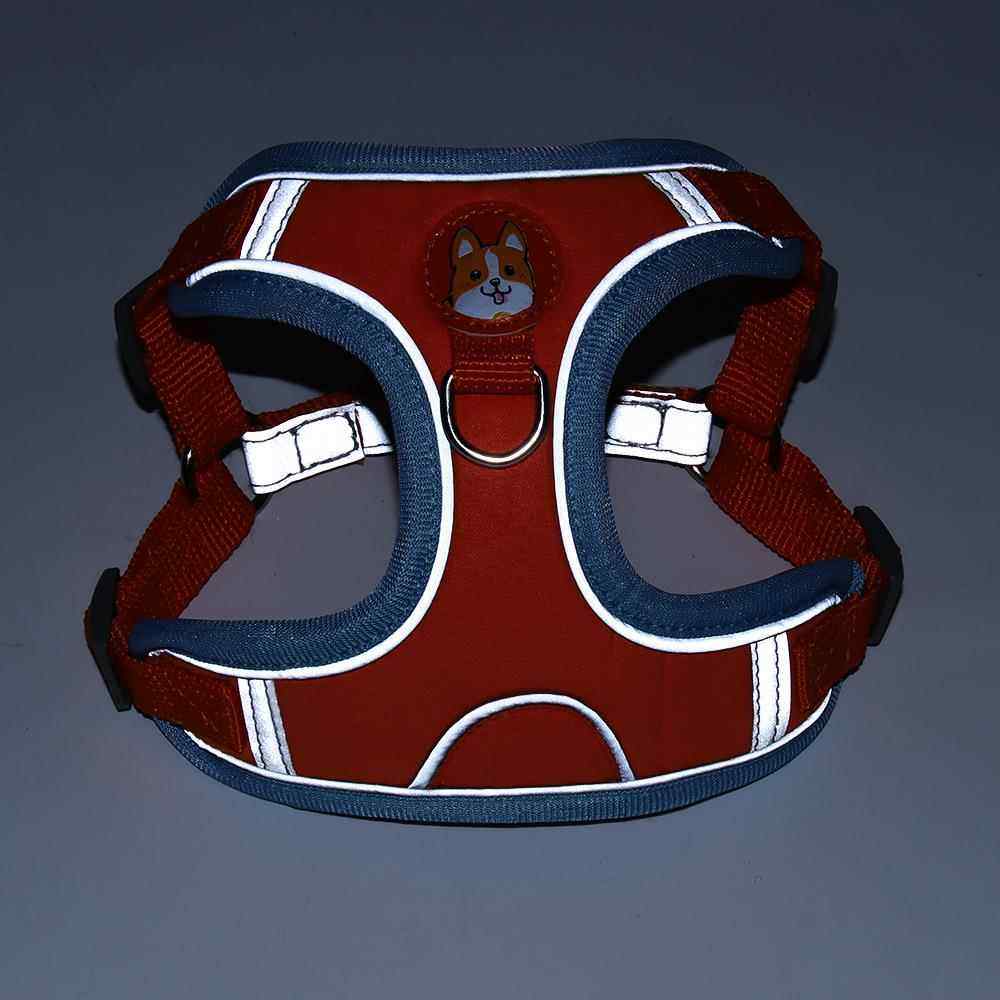 背心式狗狗牵引绳小型犬泰迪比熊博美胸背带狗狗幼犬遛狗绳狗链子,宠物/宠物食品及用品,猫牵引绳,淘宝优惠券,粉丝福利购,淘宝优惠卷