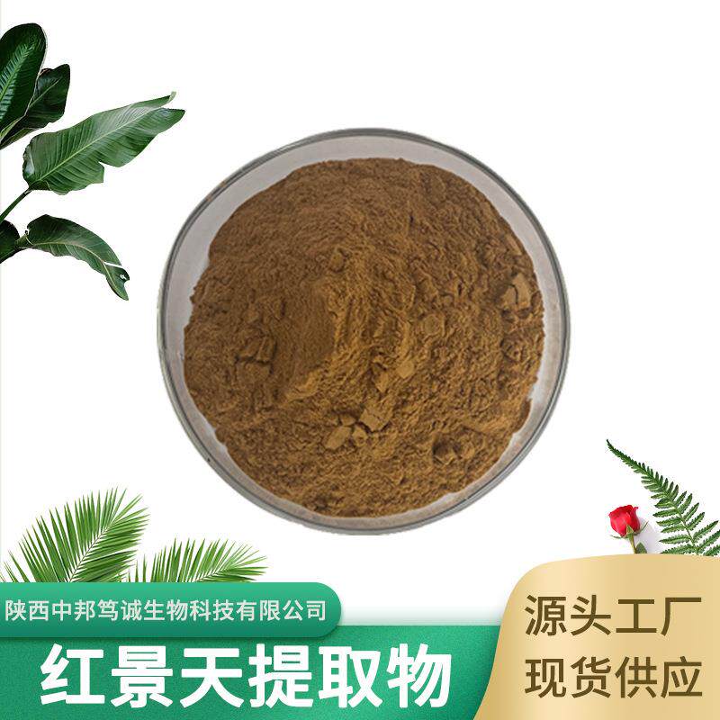 红景天提取物 红景天粉 红景天甙 红景天萃取 现货供应