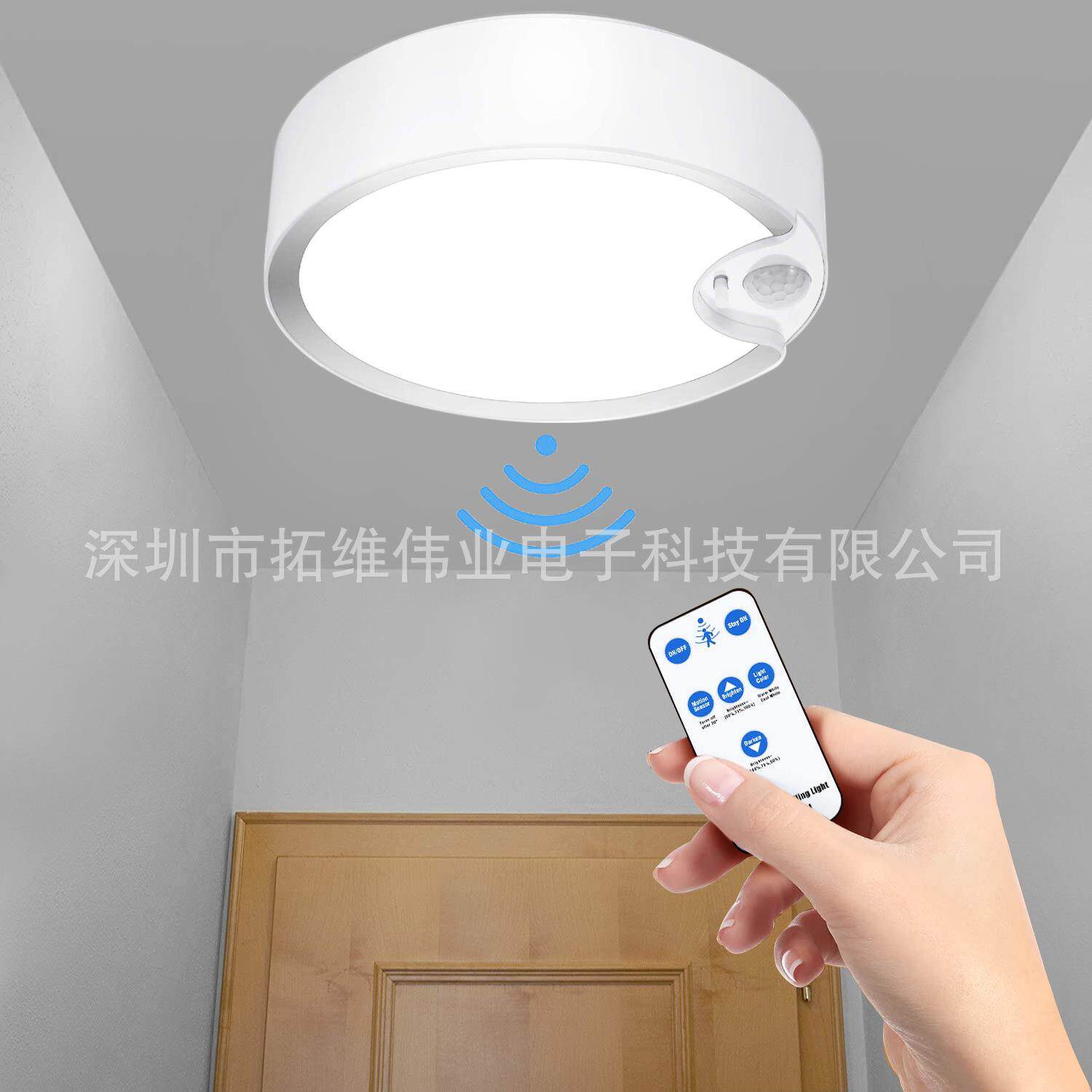 天花灯无线遥控圆型客厅卧室走廊过道双色变光北欧简约智能吸顶灯