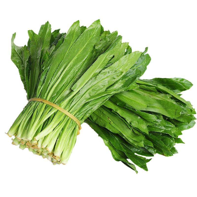 云南新鲜蔬菜调味芫荽香料新鲜采摘现发绿色大香菜泰国食用缅芫荽