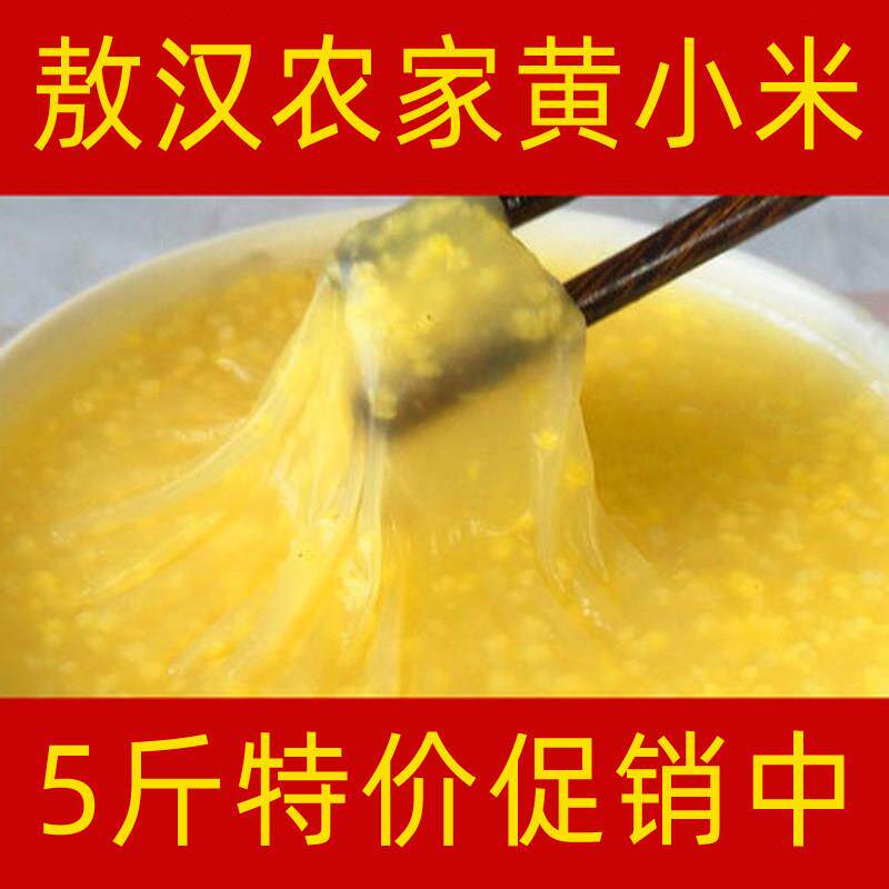 黄小米5斤内蒙古赤峰敖汉小米东北金苗小米新米杂粮小米粥特产