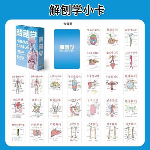 解刨学小卡卡通人体骨骼知识点标注自印三寸便携防水LOMO卡