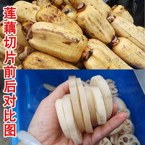 全自动圣女果切片机 不锈钢洋姜切片机 切割尺寸可定制