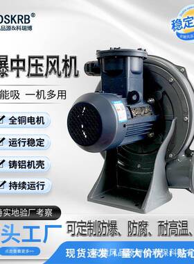 FX-3化工厂用隔爆防爆中压鼓风机 2.2kw易爆废气管道排送用风机