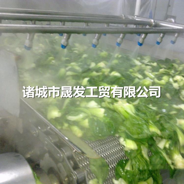晟发生产果蔬解毒清洗机香菇圣女果清洗机高压蔬菜清洗机