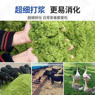 新型养殖家用小型多功能超细牧草打浆机干湿两用青草玉米粉碎机