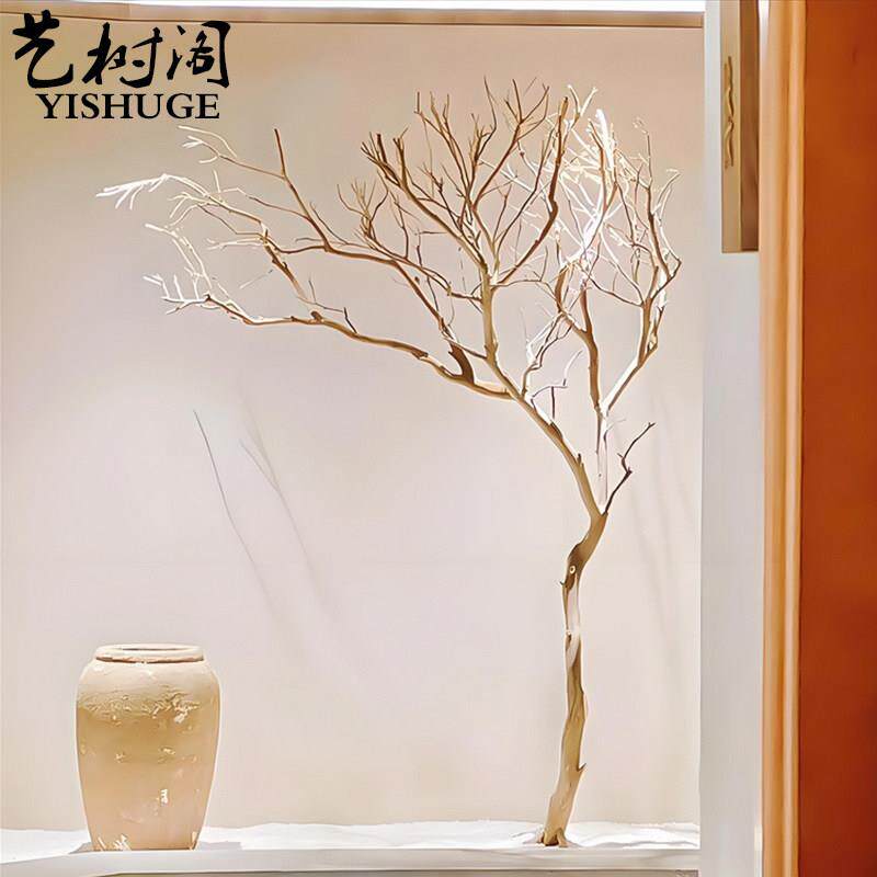 去皮干 干树枝造景干 干燥树枝树干许愿 树枯树室内造型树枝干原