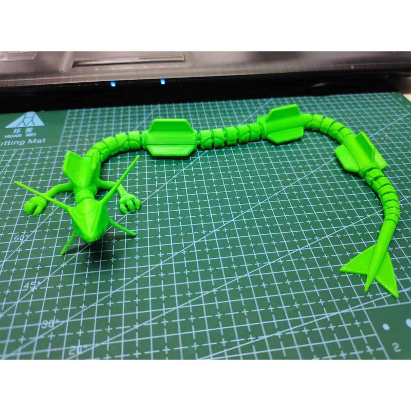 3D打印宝可梦宠物小精灵烈空坐天空龙关节可动儿童玩具礼物摆件
