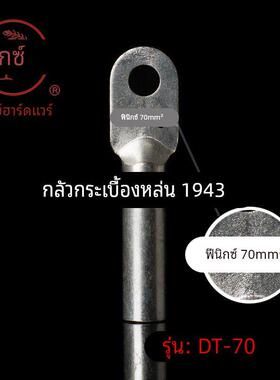 正品凤凰 镀锡堵油式铜接头 DT-70MM2铜鼻子 接线端子 B级 一祇价