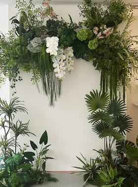 春天森系彷真绿色植物造景植物龙须草蝴蝶兰店铺装饰氛围布置门头
