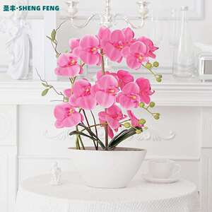 高档蝴蝶兰仿真花盆栽装饰绢布假花摆件套装北欧家居陶瓷饰品