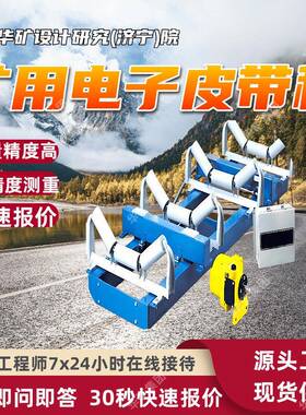 ICS-ST矿用电子皮带称 测量精度高皮带称 定金发货矿用电子皮带称