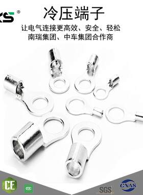 紫铜RNB接线端子冷压接头端子铜鼻子接头铜镀银压头铜管电缆接头