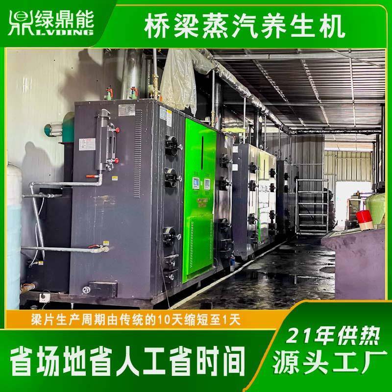 厂家直供600KG免监检混凝土智能蒸养机箱梁预制生物质蒸汽发生器