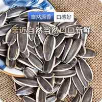 沁良山灌裝原味干炒熟瓜子生瓜子新疆特產(chǎn)葵花籽堅(jiān)果炒貨瓜子零食