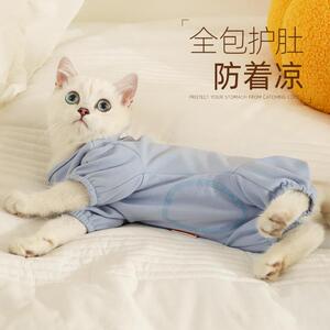 猫咪衣服秋装防掉毛薄款睡衣护肚子防着凉宠物小猫猫四脚护肚衣