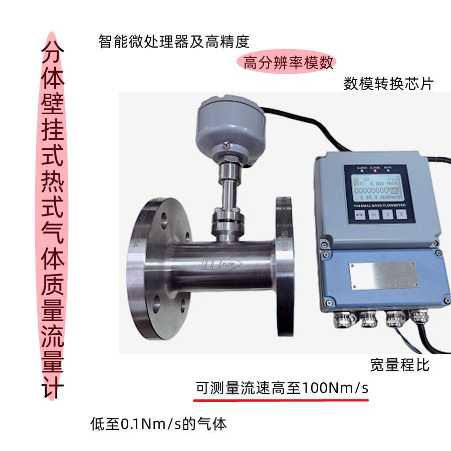 分体热式气体质量流量计转换器壁挂式热式分体流量计工厂直销