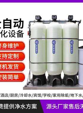 3吨软化水处理设备地下井水过滤器工业锅炉除水垢杂质商用软水器
