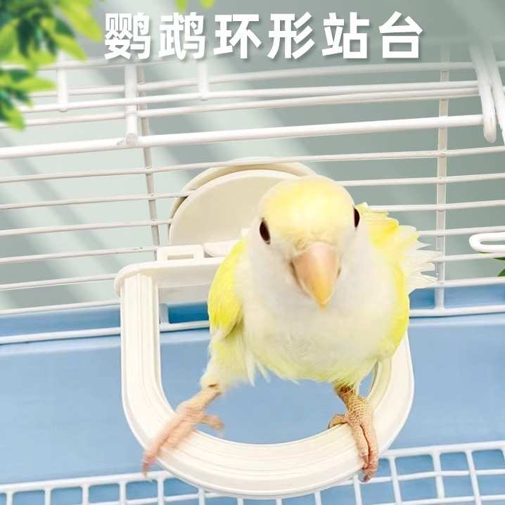 刺星球可爱鹦鹉防滑站杆防水站杆棍牡丹玄凤用品玩具鸟笼站台站架