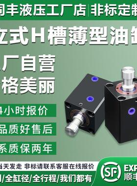 立式H槽光杆液压油缸CX-SD20/25/32/40/63/80/100-H 薄型油缸模具