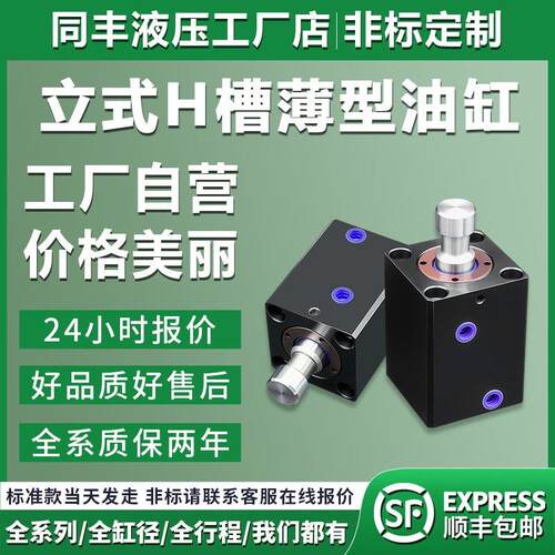 立式H槽光杆液压油缸CX-SD20/25/32/40/63/80/100-H 薄型油缸模具