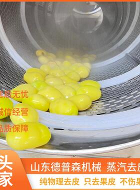 多功能商用马铃薯洋葱脱皮机全自动高温柿子杏蒸汽去皮设备