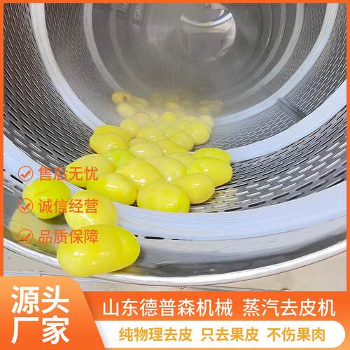 多功能商用马铃薯洋葱脱皮机全自动高温柿子杏蒸汽去皮设备